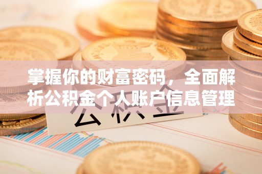 双鸭山掌握你的财富密码，全面解析公积金个人账户信息管理