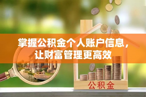 双鸭山掌握公积金个人账户信息，让财富管理更高效