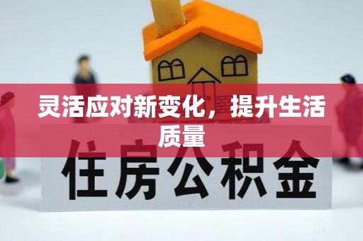 双鸭山灵活应对新变化，提升生活质量