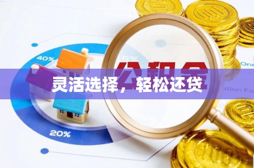 双鸭山灵活选择，轻松还贷