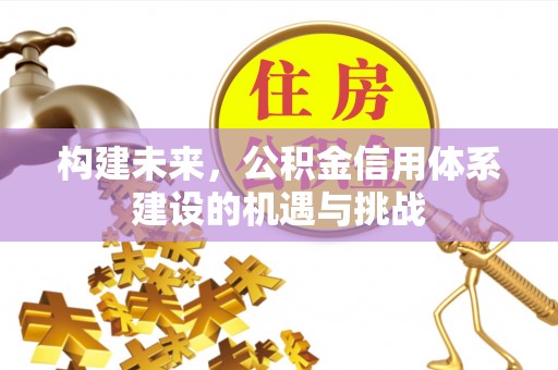 双鸭山构建未来，公积金信用体系建设的机遇与挑战