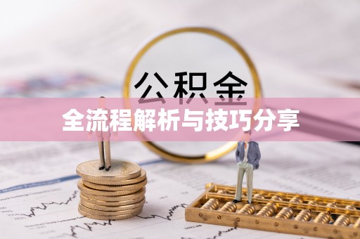 双鸭山全流程解析与技巧分享