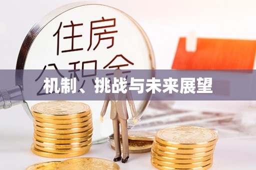 双鸭山机制、挑战与未来展望